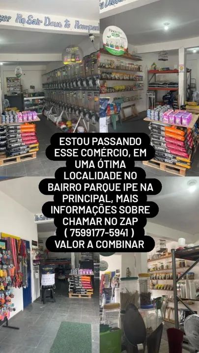 Ração para gatos castrados - Diversas marcas e tamanhos - Foto 5