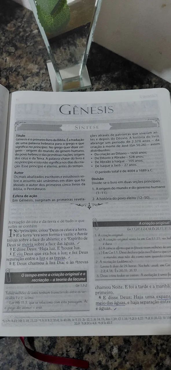 Biblia Antônio Gilberto  - Foto 4