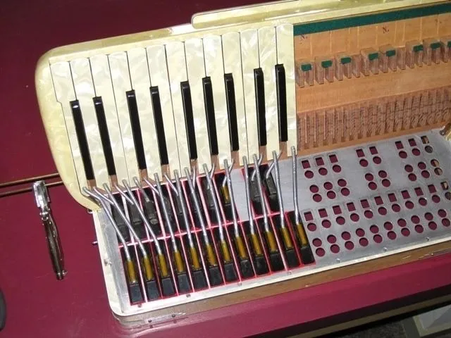 Oficina Especializada em Acordeons. Qualquer tipo de serviço!