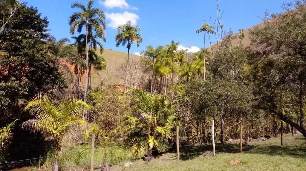 Sítio com 3 dormitórios, 40000 m² - venda por R$ 1.700.000,00 ou aluguel por R$ 4.530,00/m - Foto 3