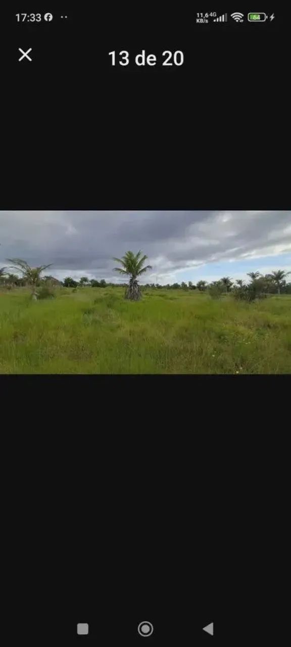 Fazendão em Quissamã com 62 alqueires toda plana com bastante agua