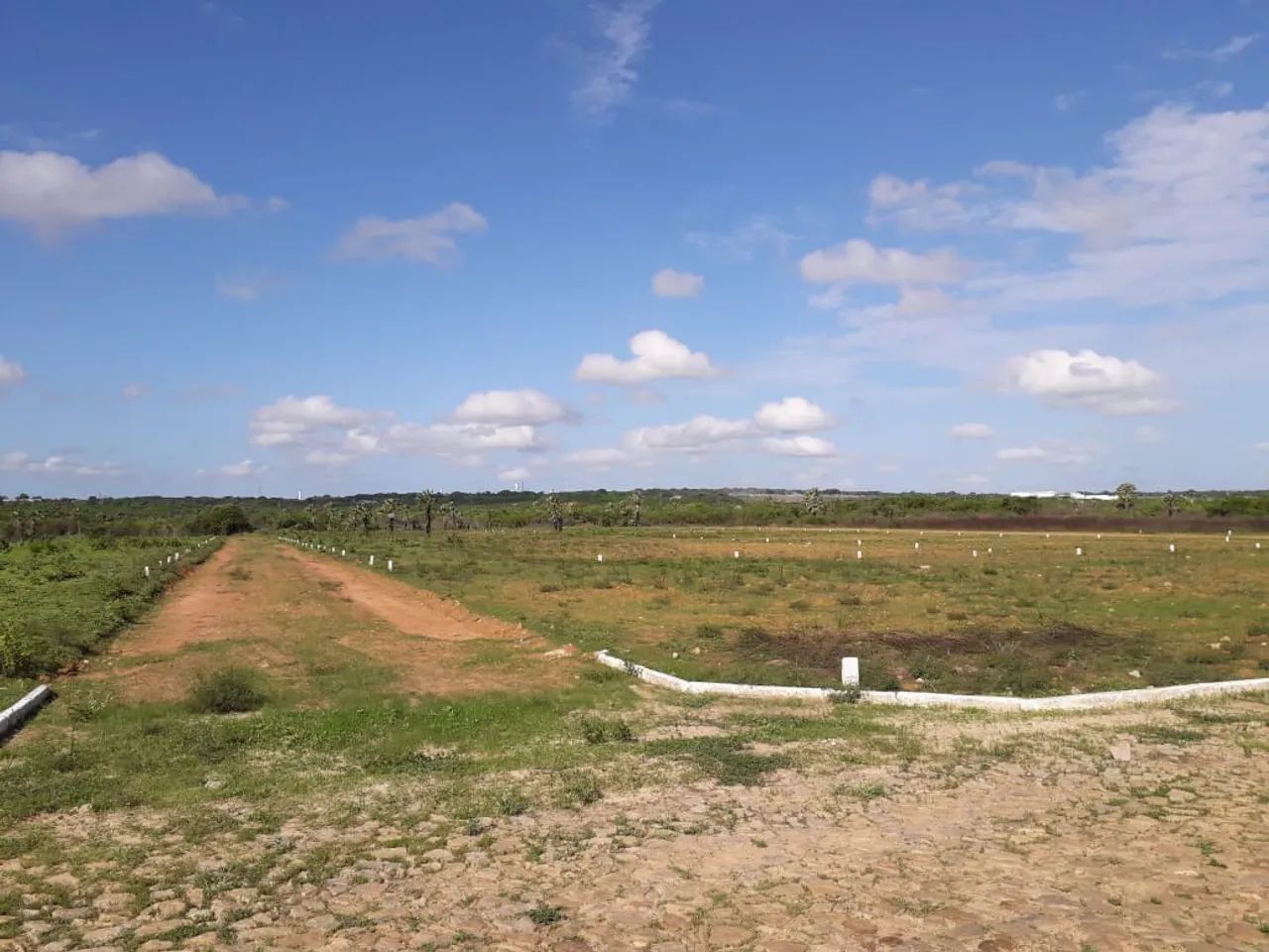 Lote/Terreno para venda possui 7320 metros quadrados em Pacajus - Pacajus - CE