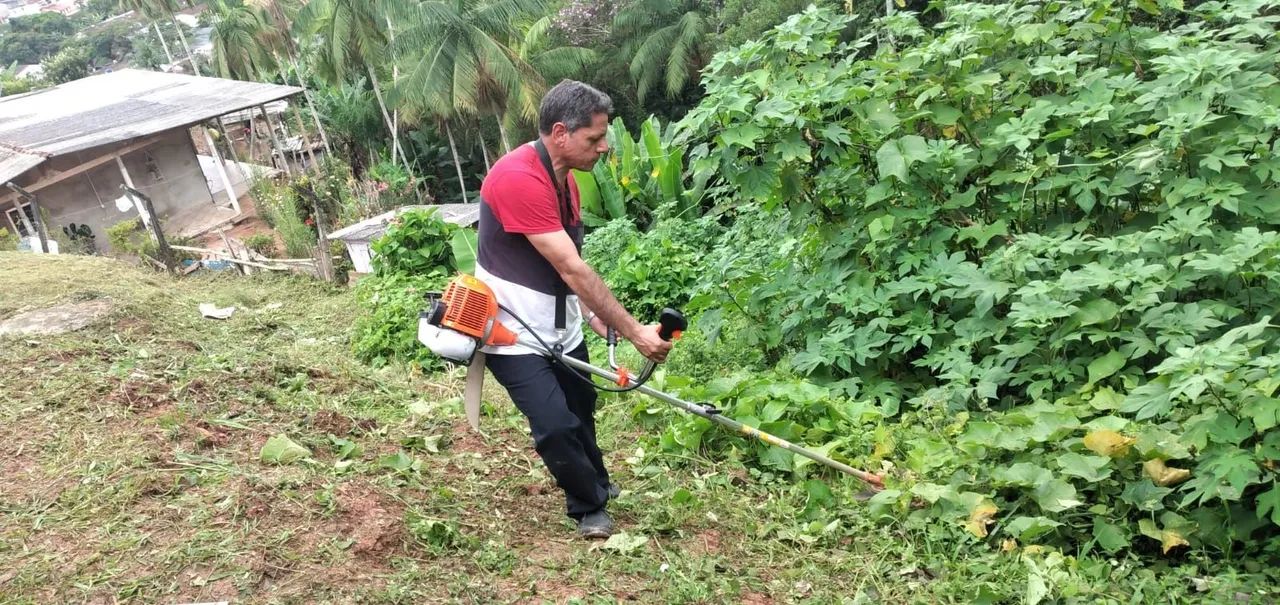 Limpeza de terrenos. - Foto 4