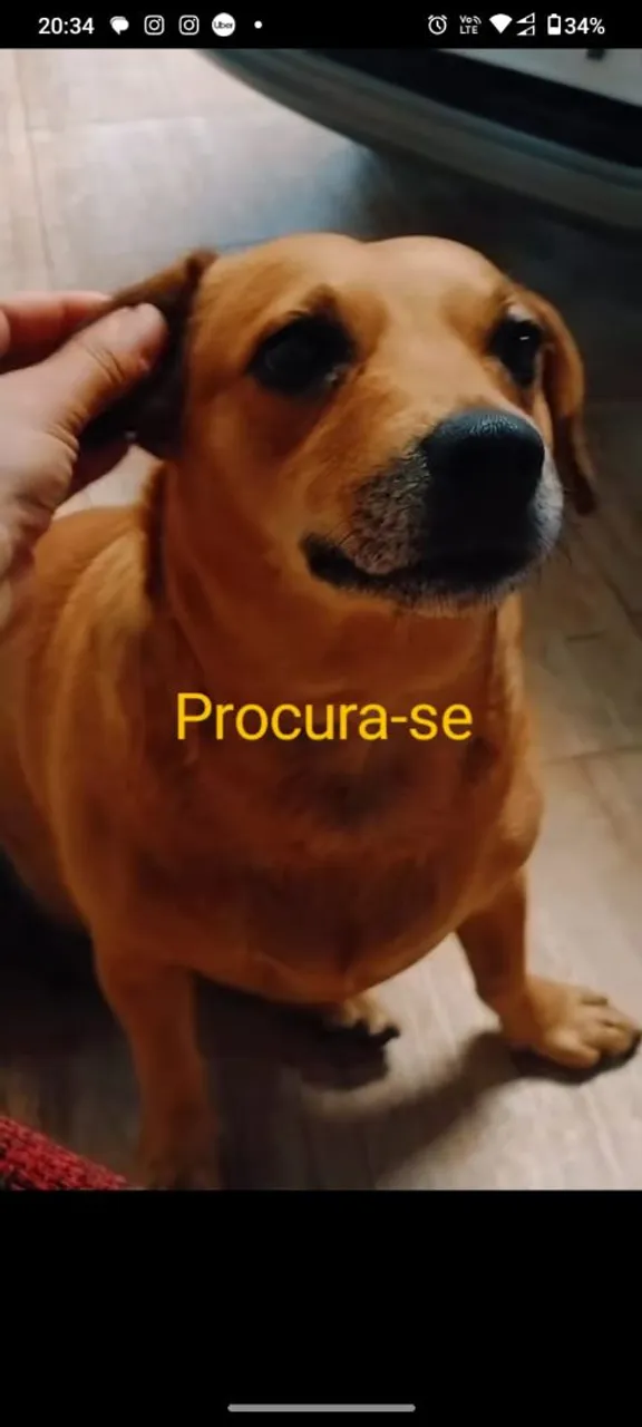 Procura-se