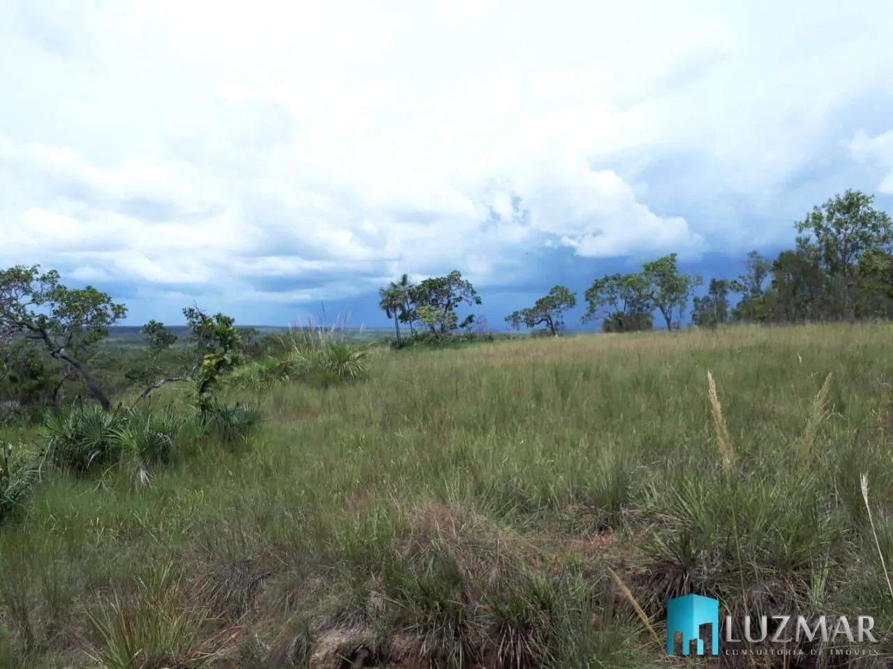 Excelente Fazenda em Lizarda - Tocantins, com 1691 HECTARES - Foto 3