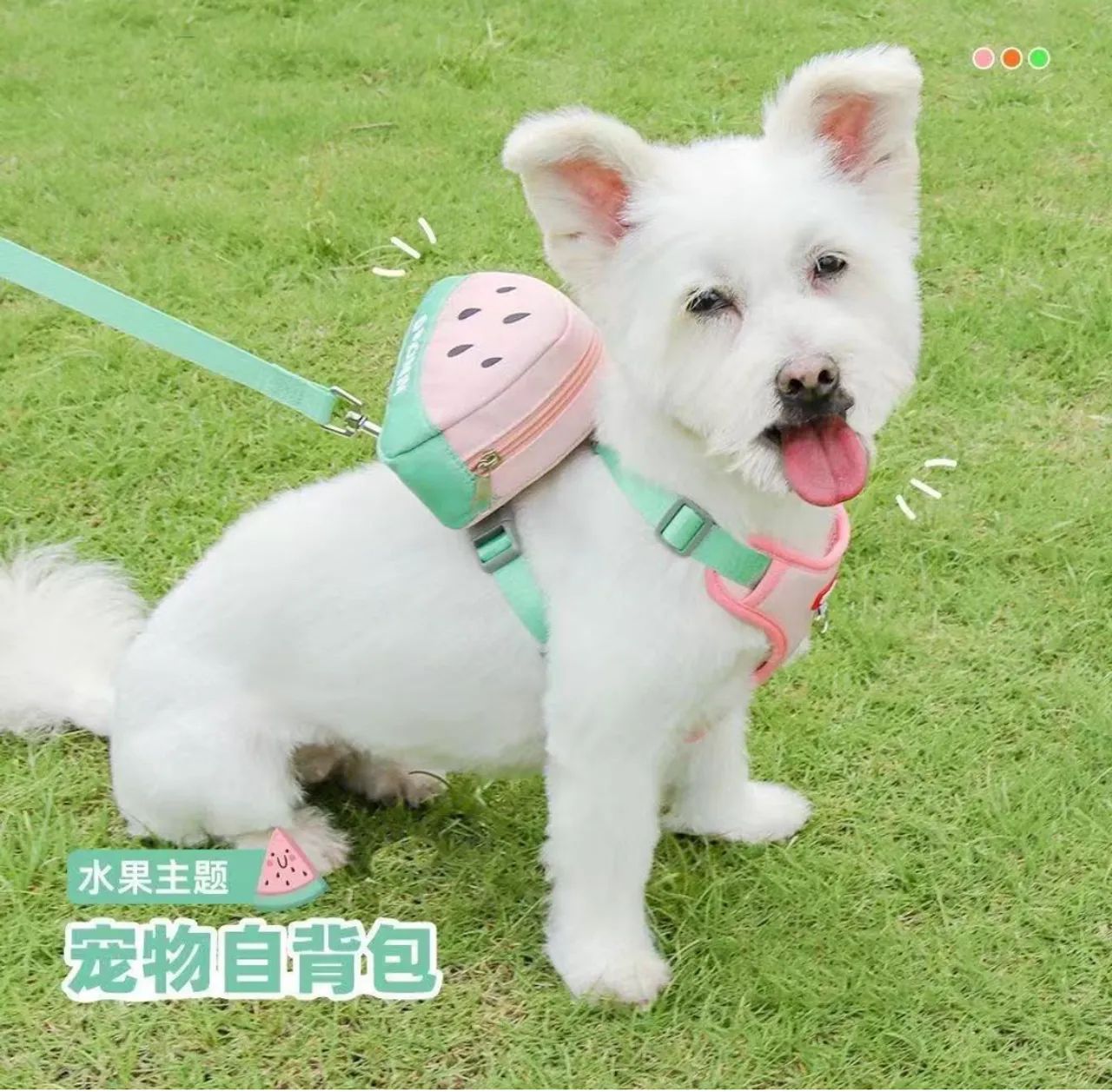 Coleira peitoral com mochila pet, cães e gatos - Foto 2