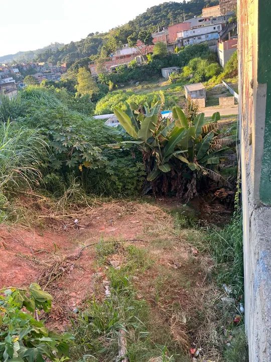 Terreno Amador Bueno meio lote 