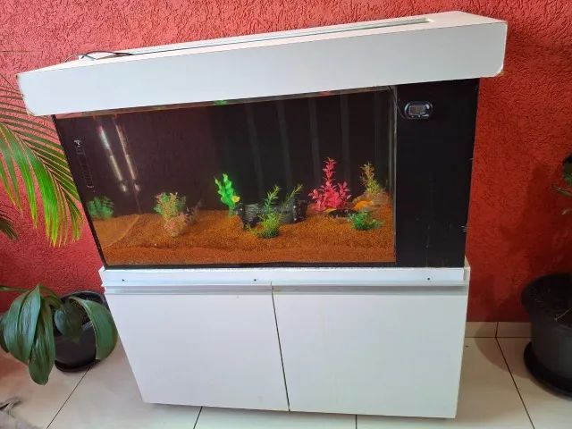 Aquário 250 Litros com Armário Embutido e Duas Bombas D'agua.