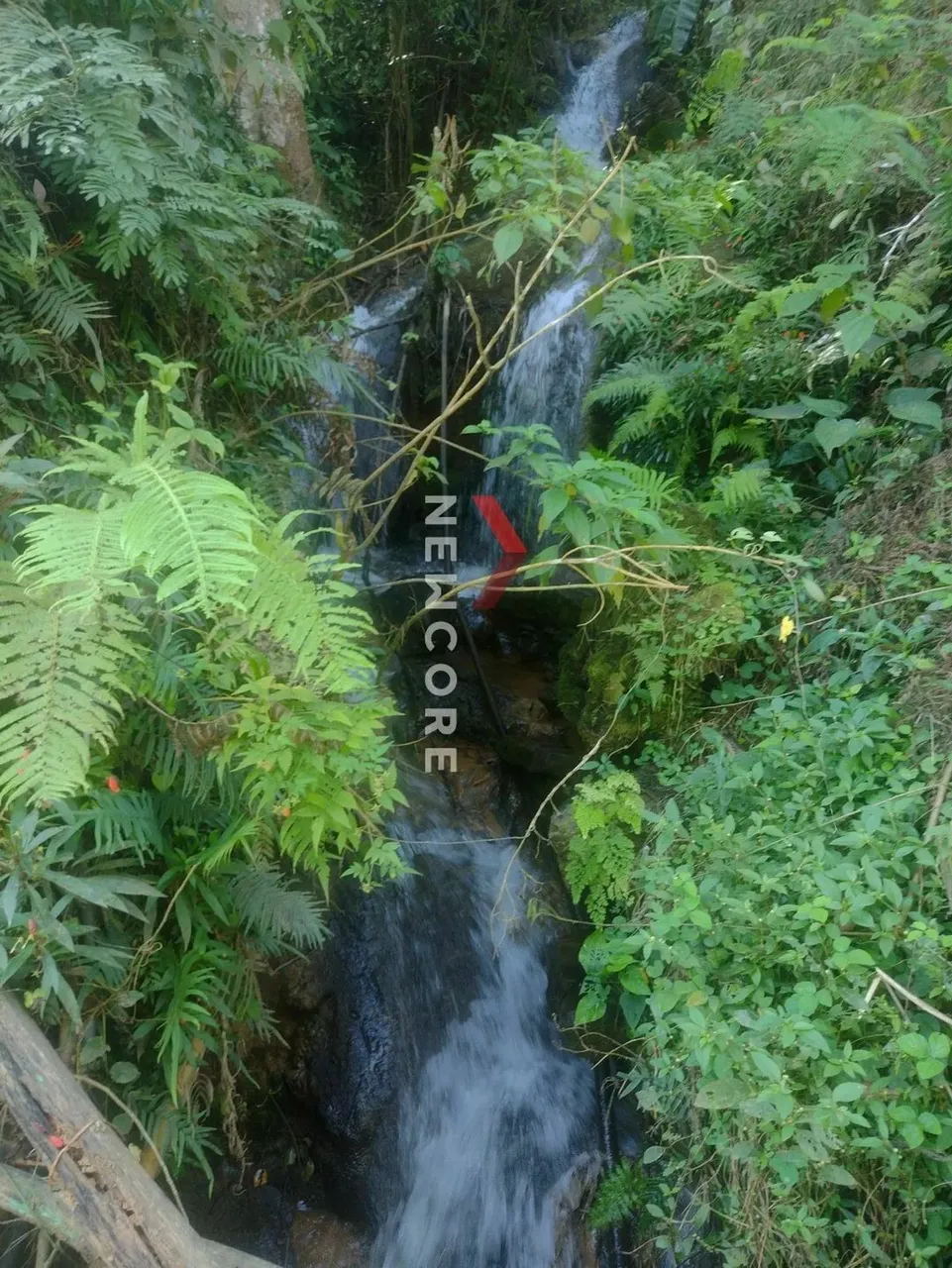 Sítio em Ribeira - Centro - Ribeira/SP