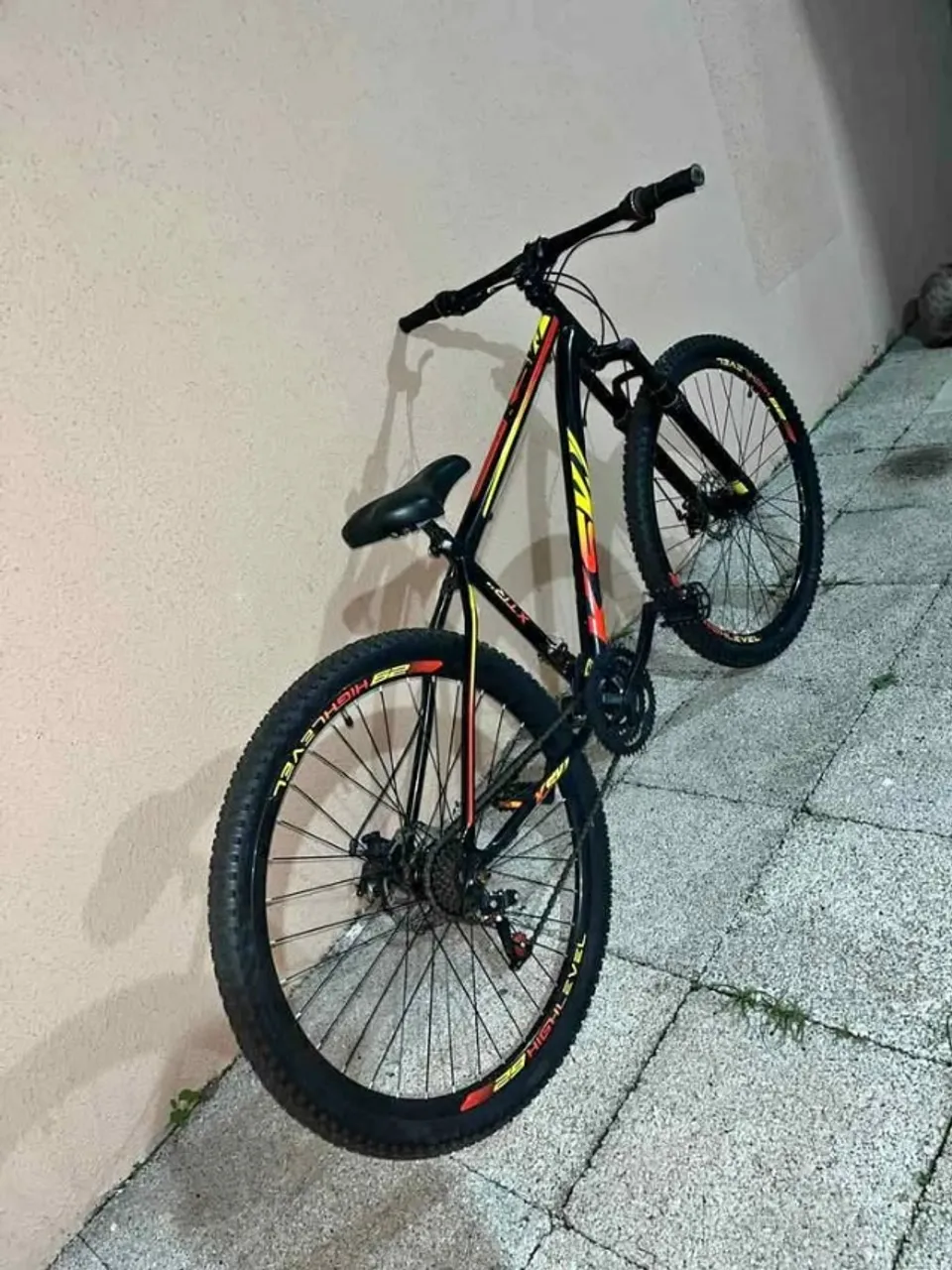 Bicicleta