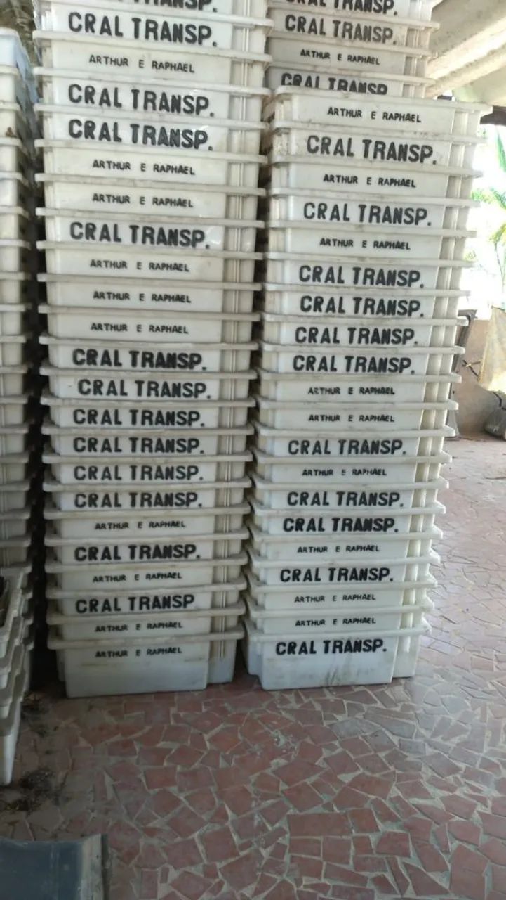 Caixas plásticas pequena furada 20k não é reciclage tenho 900cx só vendo acima de50cx 