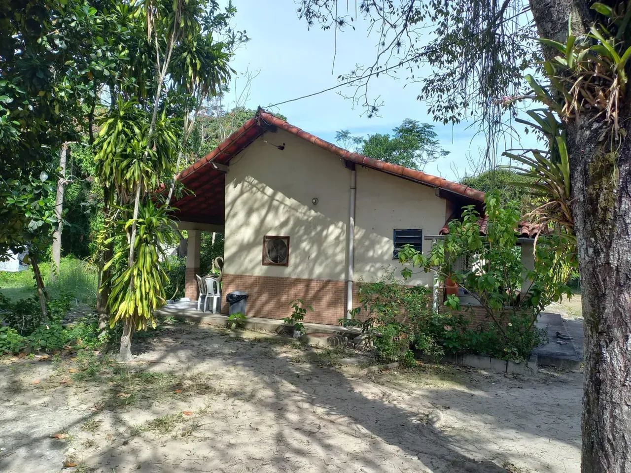 área com 30.000m² - Foto 3