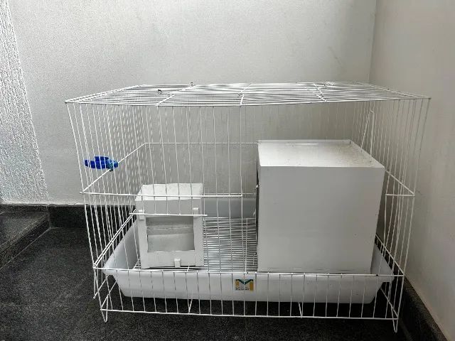 Gaiola para roedores