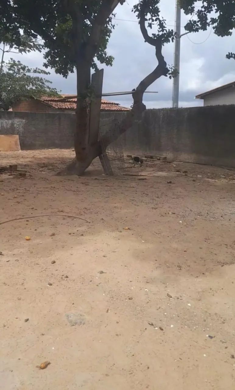 Casa no município de São Gonçalo do Amarante  - Foto 4