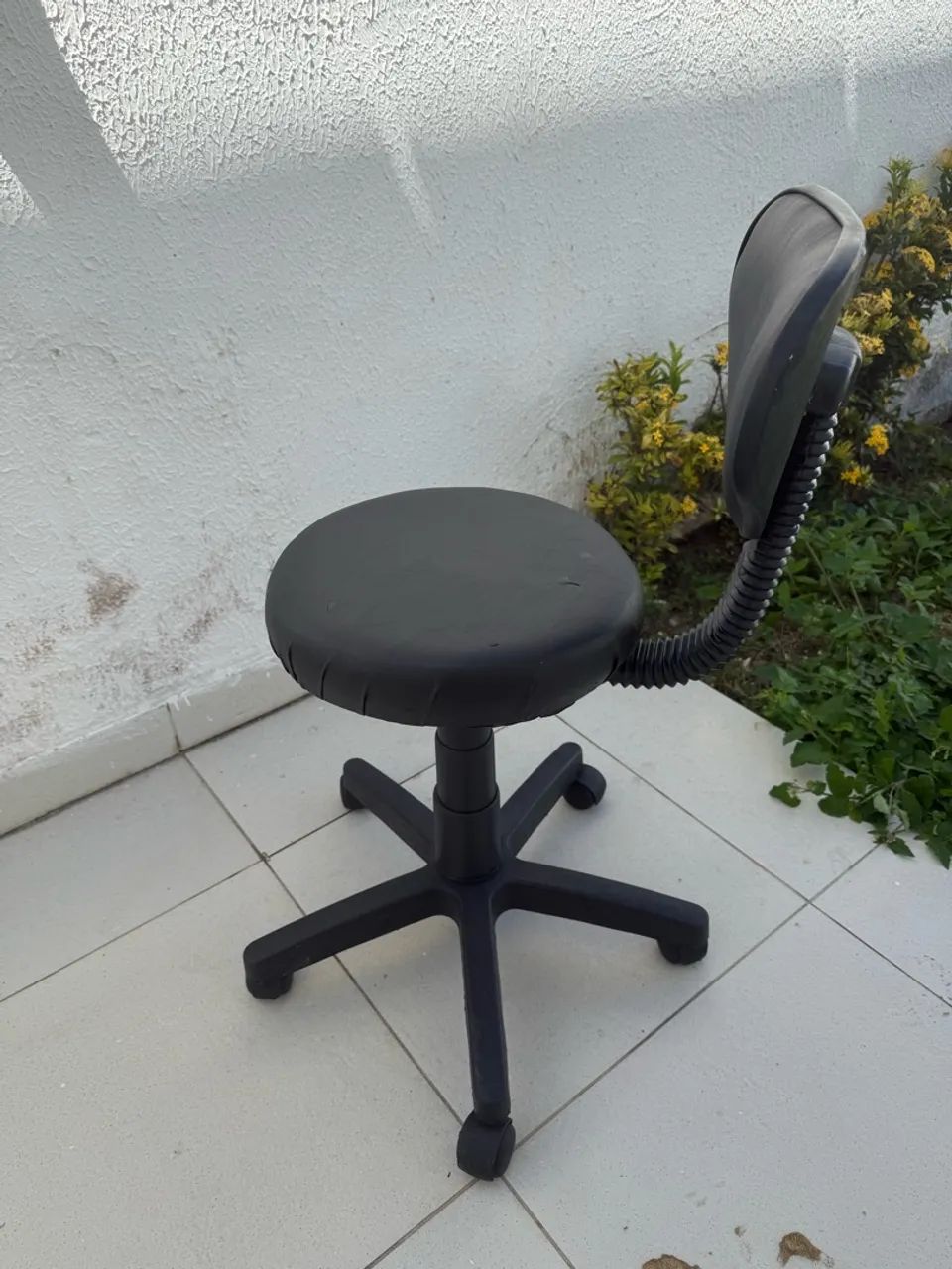 Mocho preto - Foto 2
