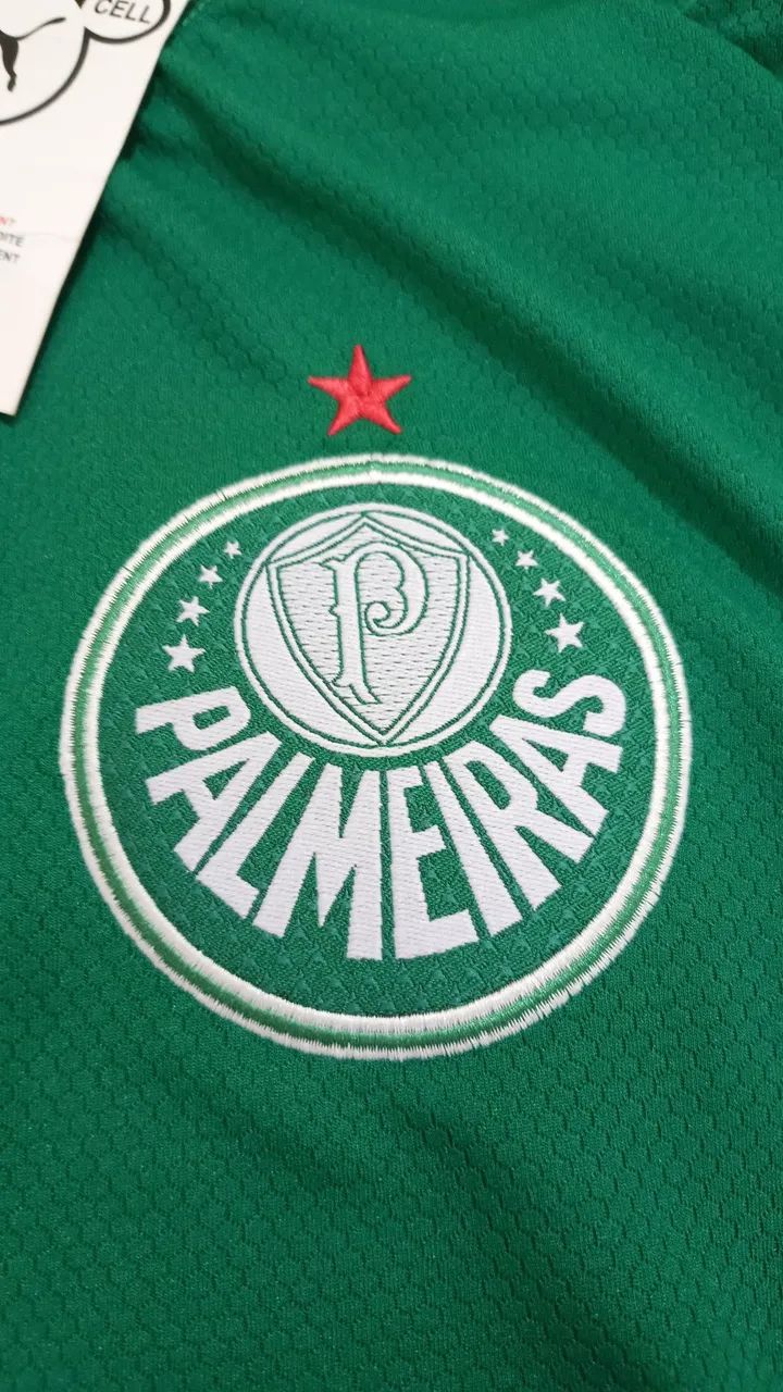 Camisa do Palmeiras Verde 2026 - Foto 2