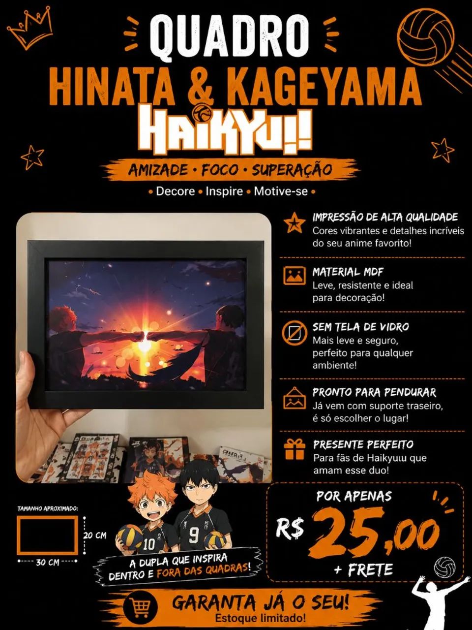 Quadro haikyuu 