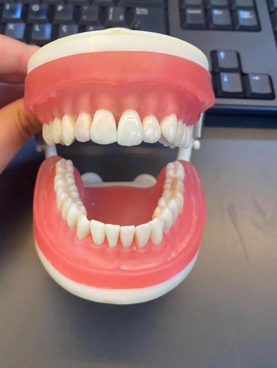 manequim dentistica - Foto 2