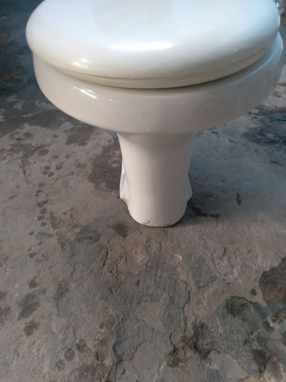 Toilet Bowl