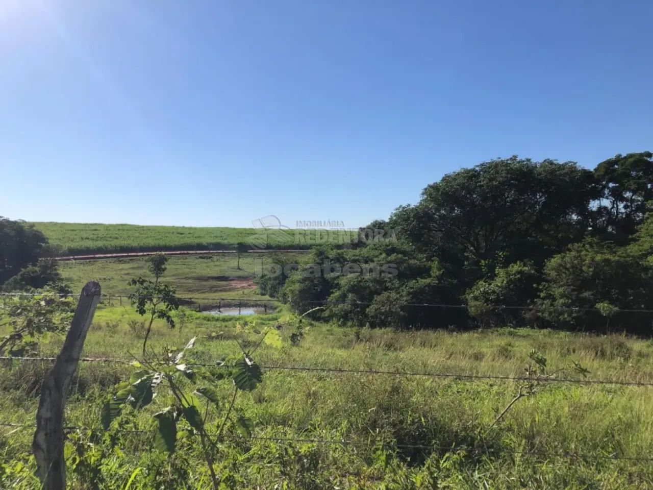 Fazenda de 23,25 Alqueires Rica em Água e Pastagem