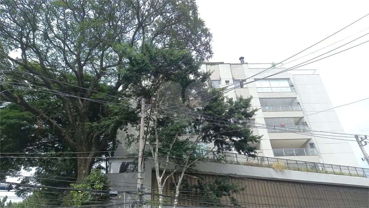 Apartamento com 4 quartos à venda em Vila albertina - SP - Foto 3