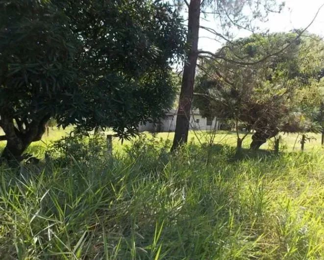 Terreno em Jundiaí/SP - Foto 5