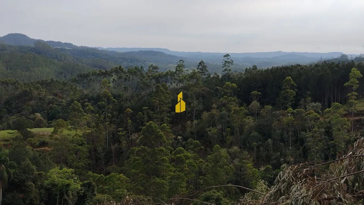 Terreno para Sítio - Foto 4