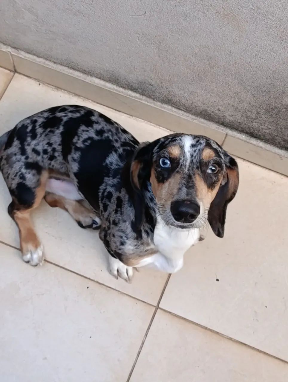 Estou procurando uma namorada pra mim namorar - Foto 2