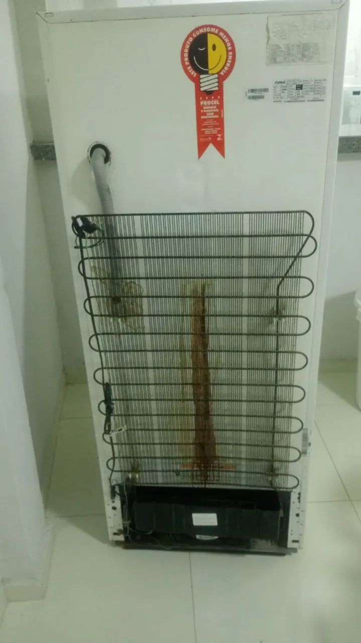 Geladeira de gelo - Foto 4