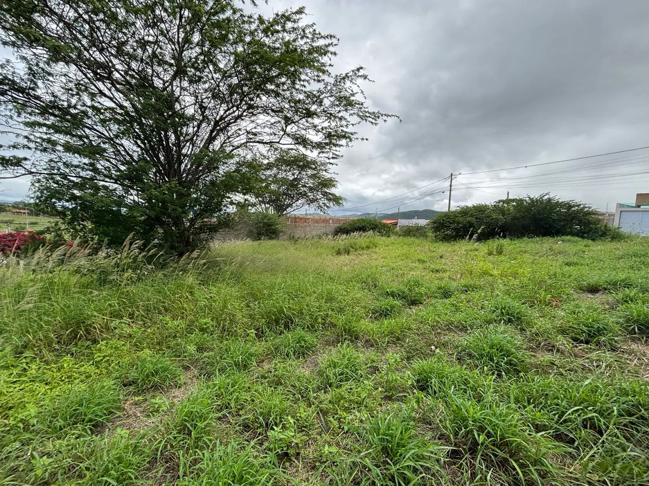 ((CM)) Promoção em Bezerros, lote C/295m2 próx ao Centro - Foto 3