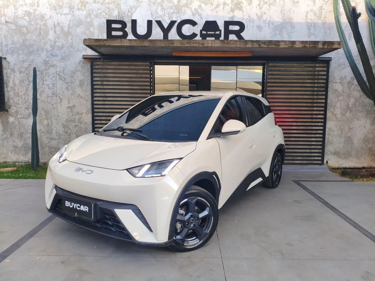 BYD Dolphin Mini (Elétrico) 2025 - Foto 5