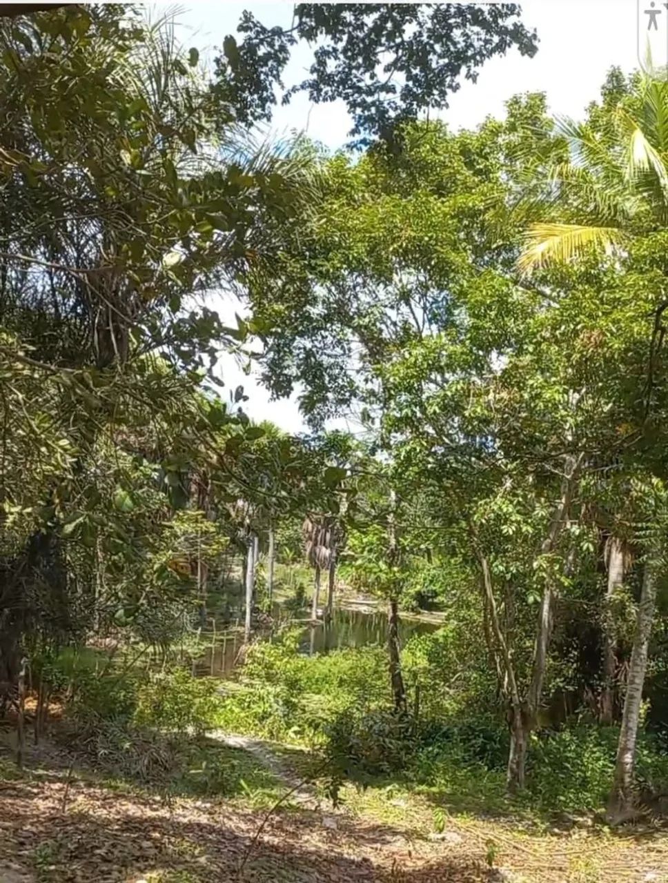 Foto - Barreirinhas - 