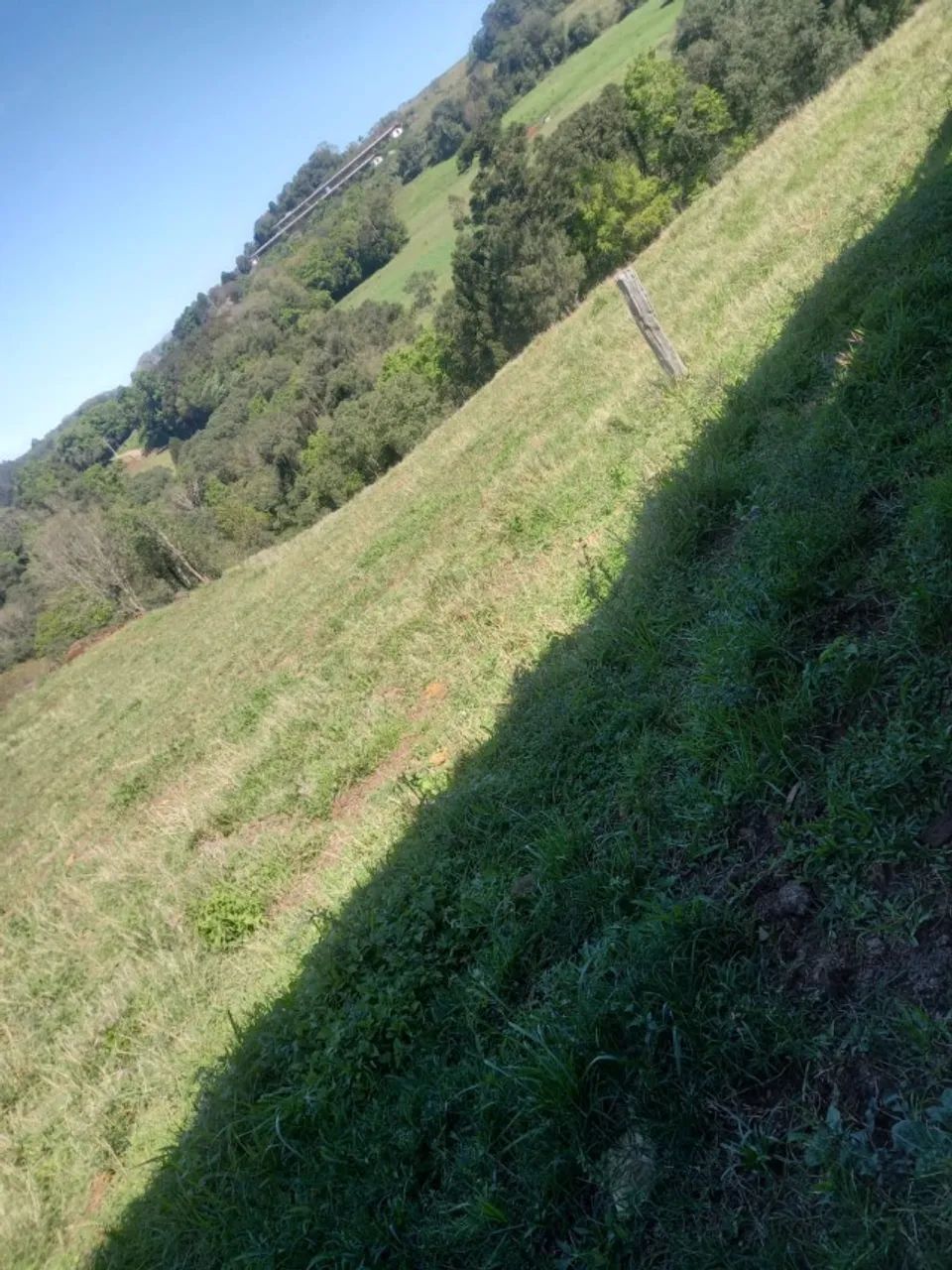 Propriedade Em Linha Putinga, Ipira - Sc. 12 Hectares Com Casa 3 Quartos - Foto 3