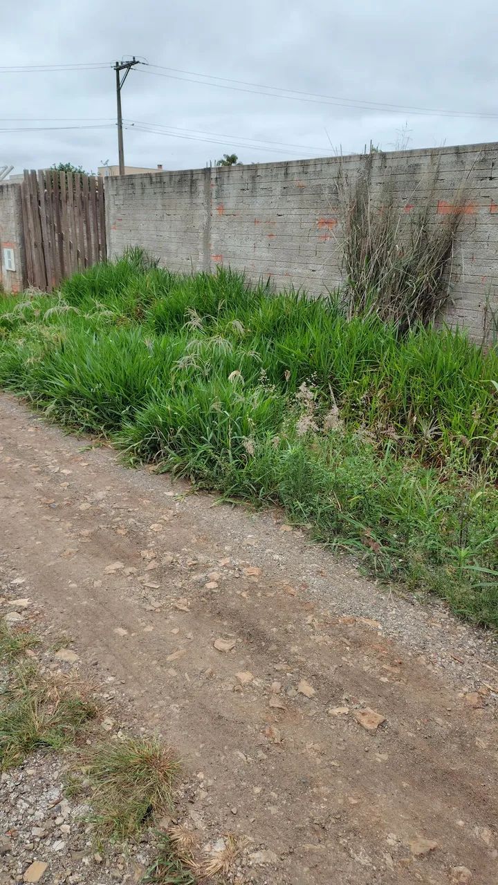 Terreno 1000 metros  - Foto 5