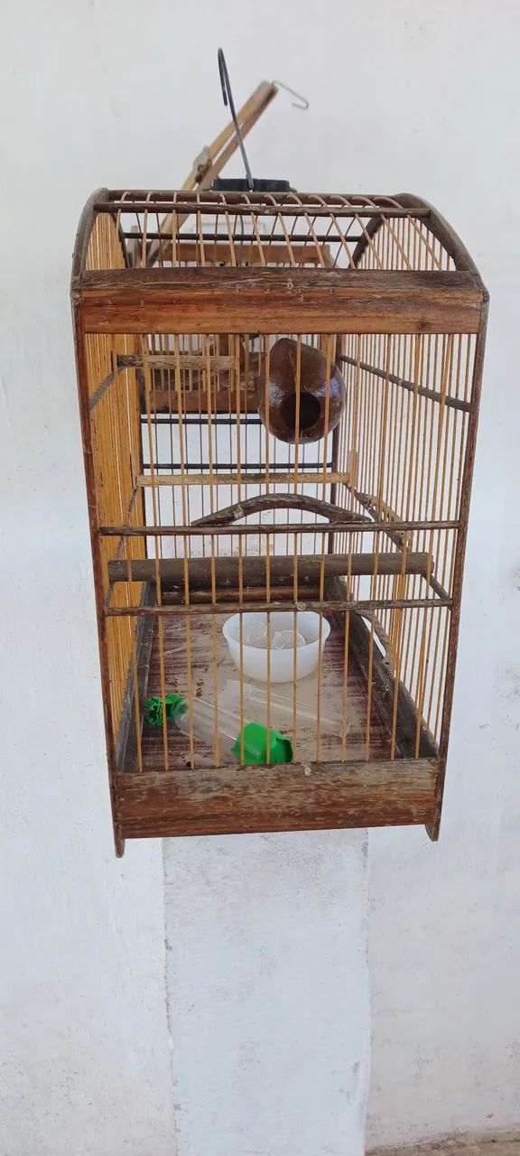 Gaiola - Foto 4
