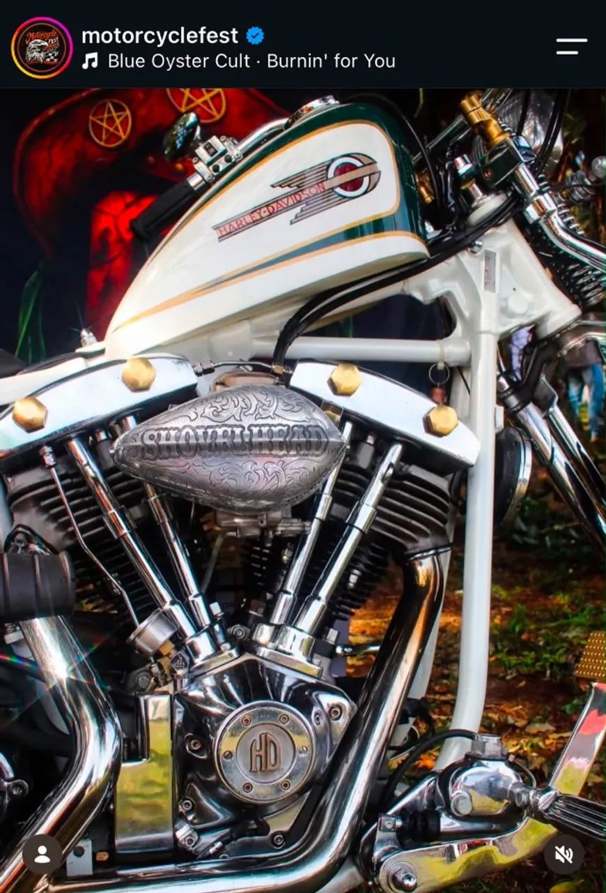 Springer Screaming Eagle 1979 - 1531132410 | OLX