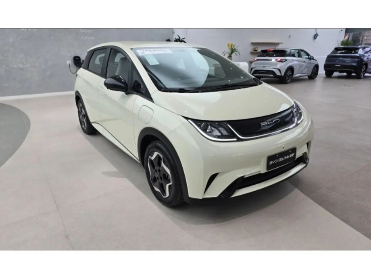 BYD Dolphin GS (Elétrico) 2027 - Foto 3