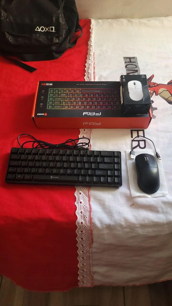 Teclado e mause 
