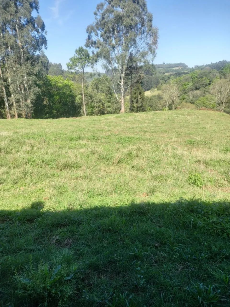 Propriedade Em Linha Putinga, Ipira - Sc. 12 Hectares Com Casa 3 Quartos - Foto 4