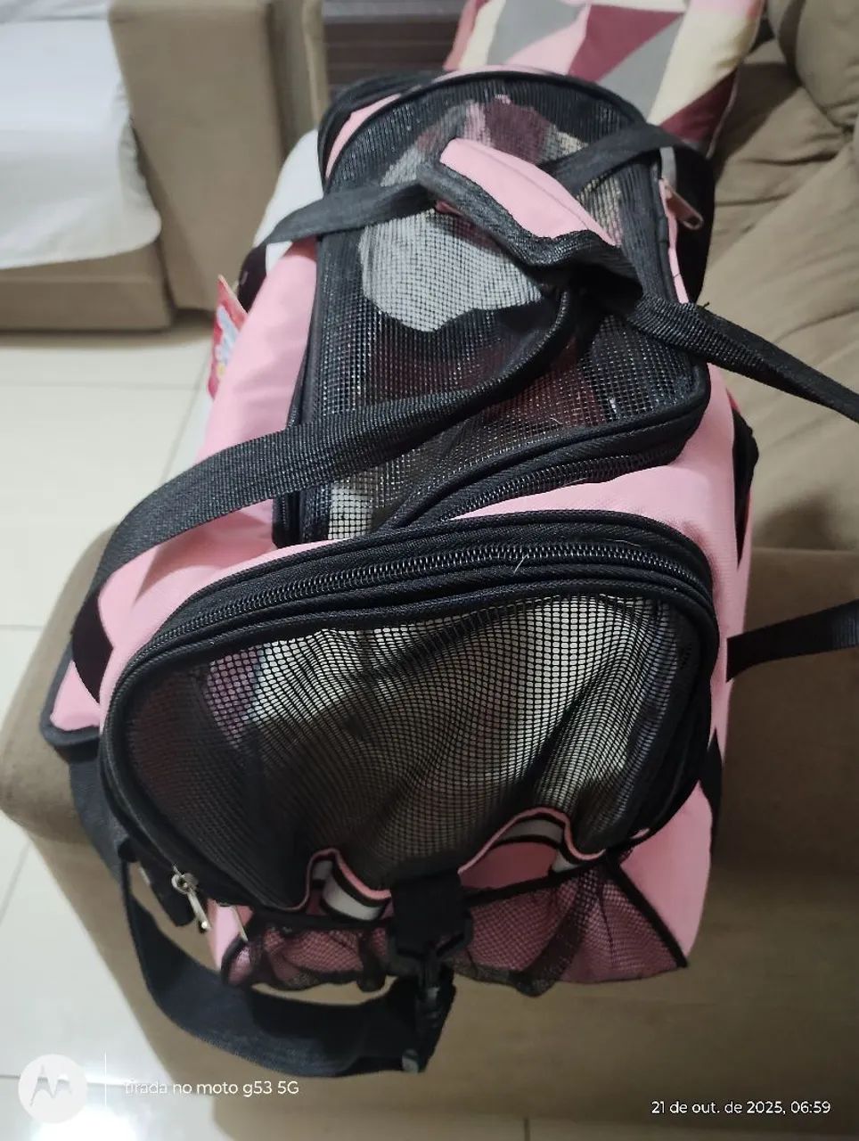Bolsa de trasportar animal  - Foto 3