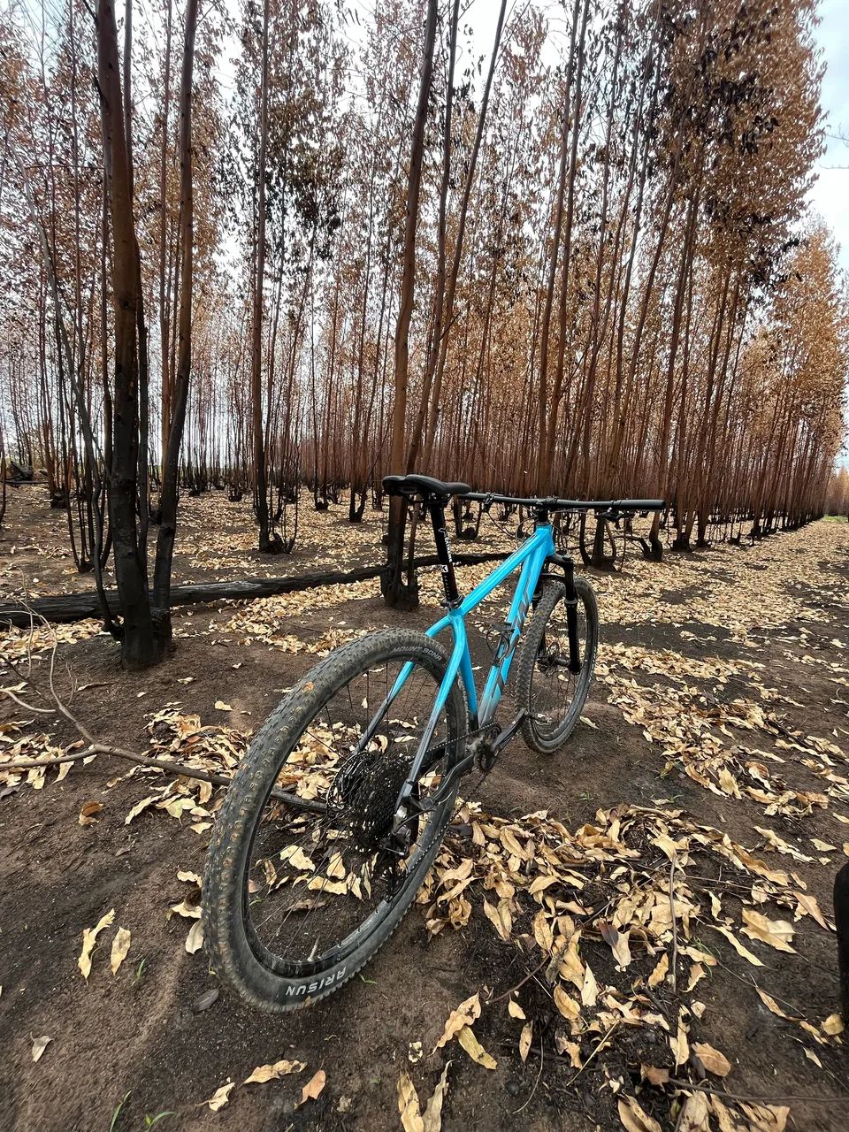 Bike bicicleta mtb  - Foto 2