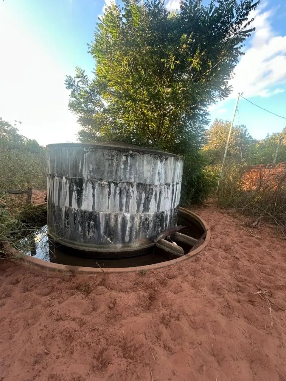 Fazenda 258 hectares  - Foto 4