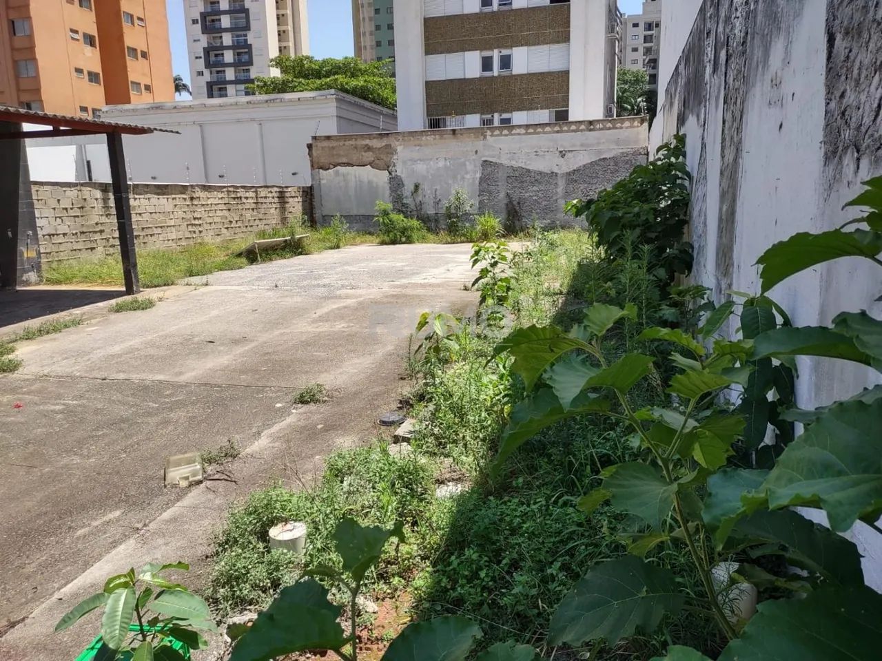 terreno - Centro - Campinas - Foto 2
