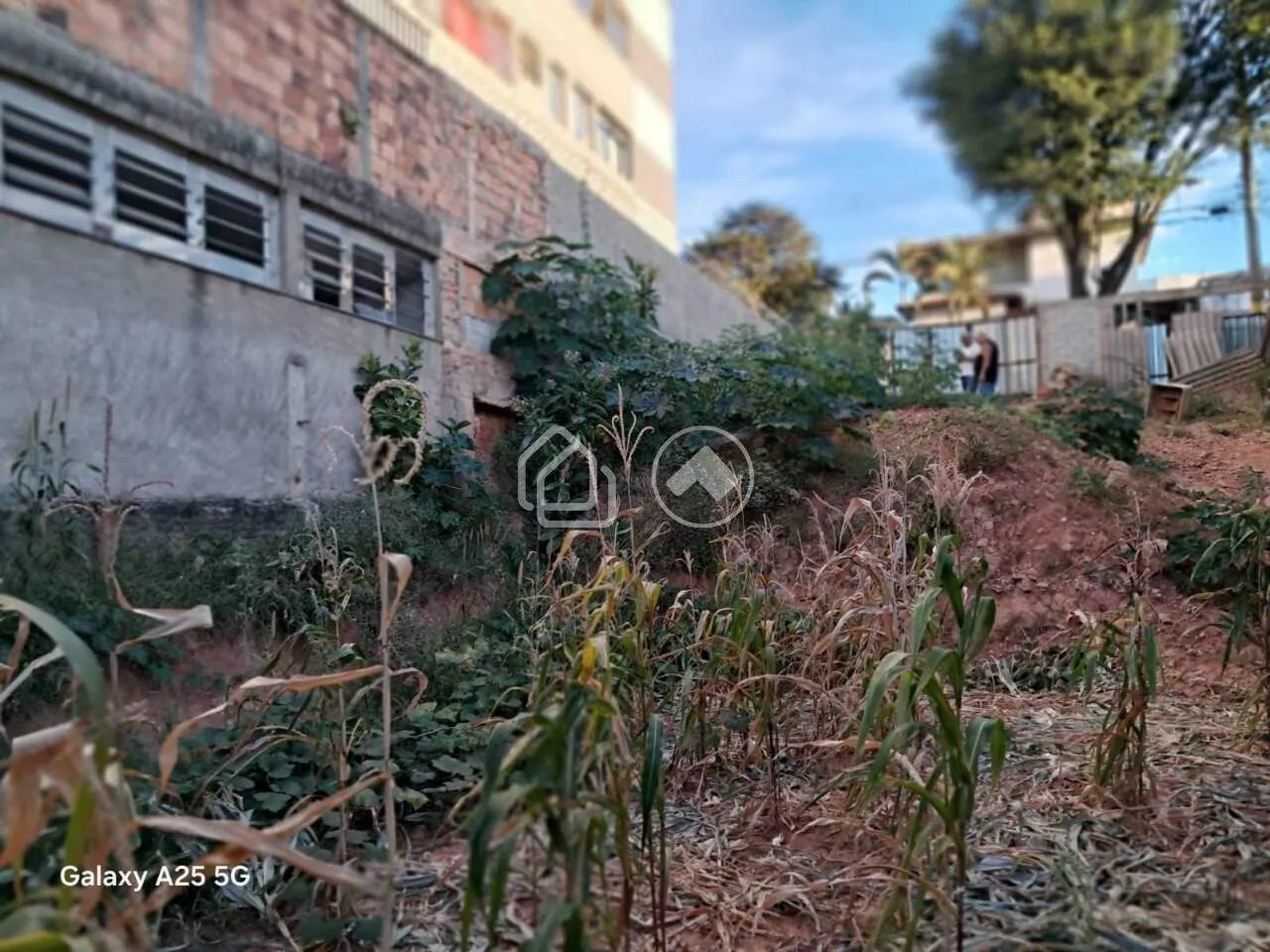 oportunidade de comprar lote no carlos prates - Foto 5