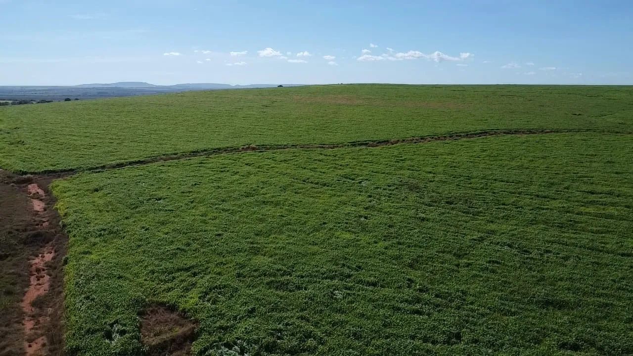 Fazenda em Doverlândia-go  - Foto 2