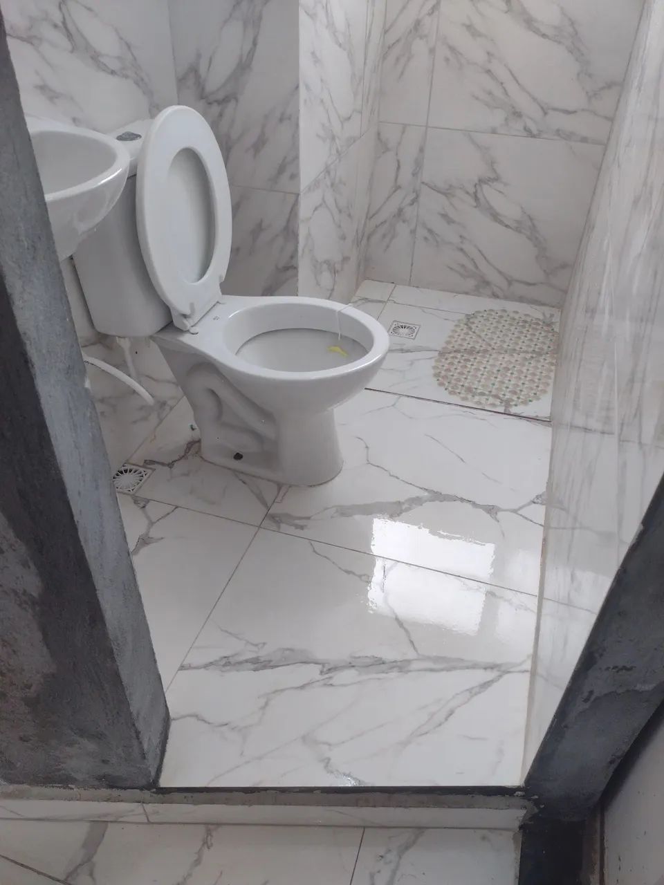 Azulejista  - Foto 5
