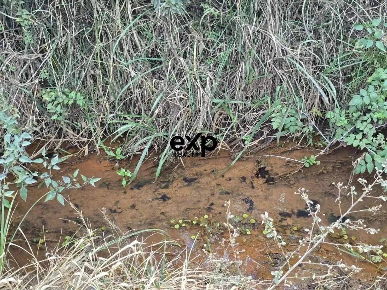 CHÁCARA AGUDOS DO SUL PR - Foto 2