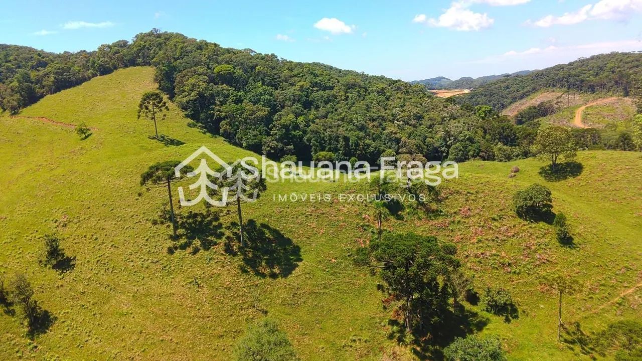 Terreno Rural - Foto 3