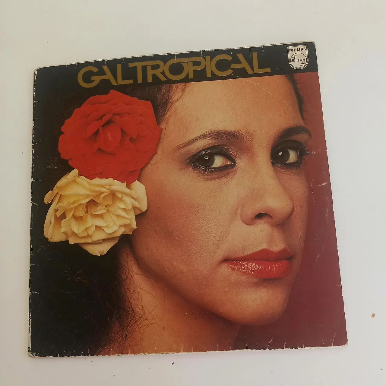 Vinis maravilhosos, 50,00 cada!