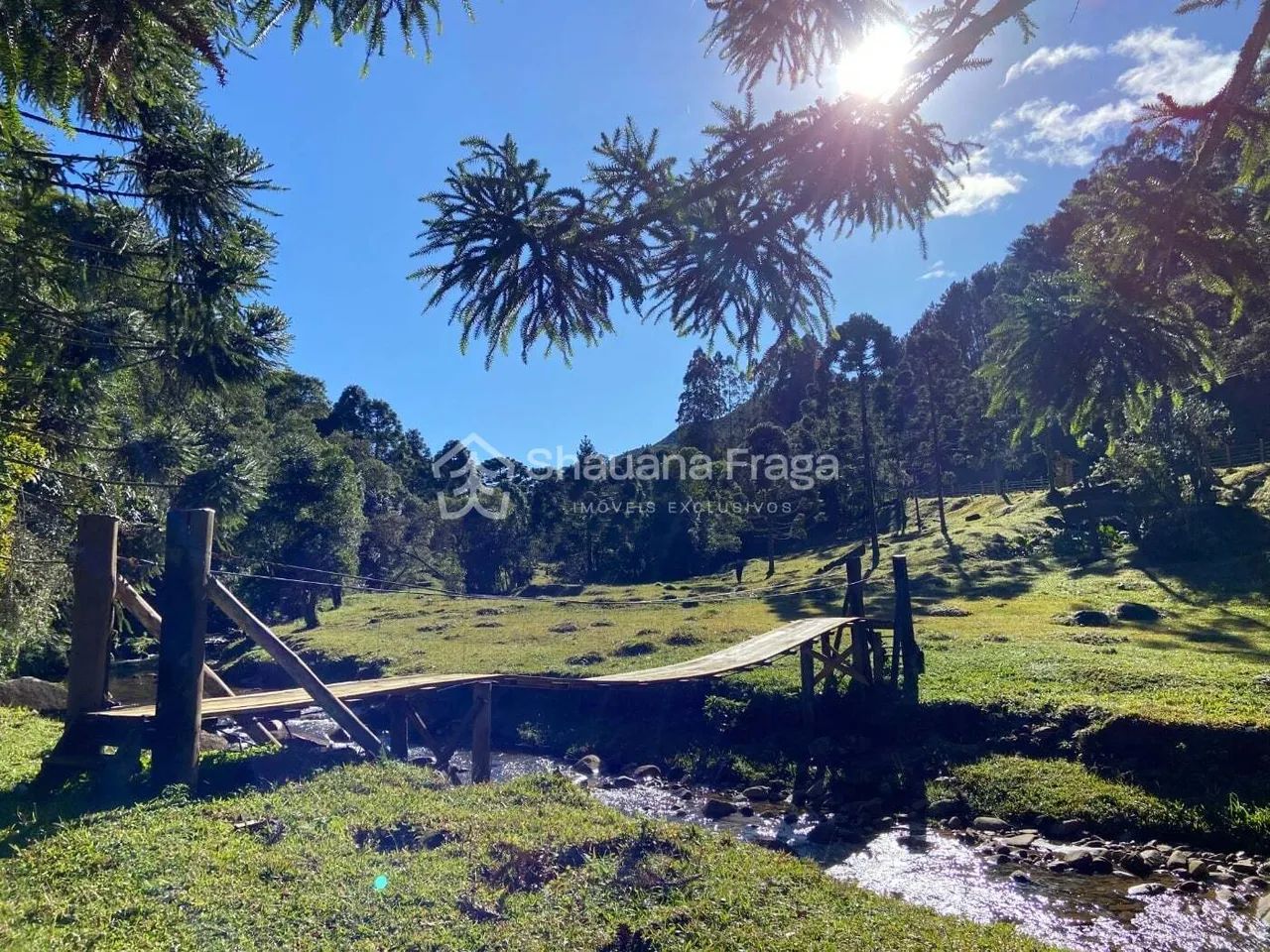 Sítio à venda no bairro Anitápolis - Anitápolis/SC - Foto 5